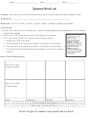'igneous Rock Lab' Geography Worksheet