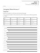 Irregular Plural Nouns Worksheet