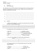 Spanish Language Worksheet Template