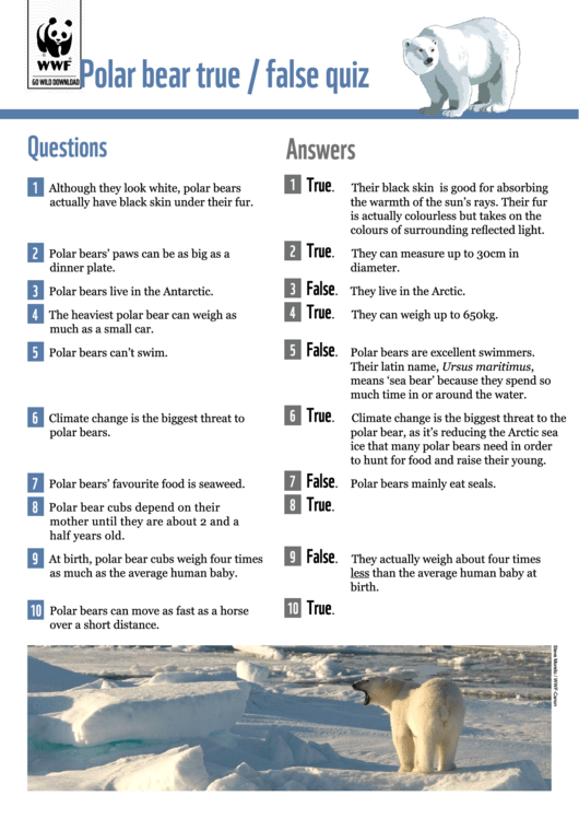 Polar Bear True / False Quiz Printable pdf