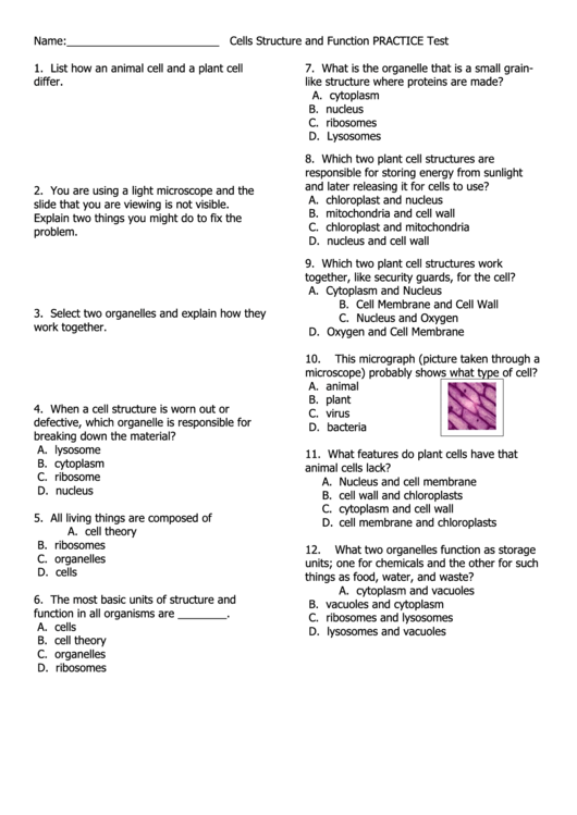 Cells Structure And Function Practice Test Printable pdf