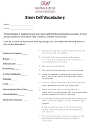 Stem Cell Vocabulary Biology Worksheet