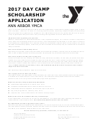 Ymca Day Camp Scholarship Form - 2017 Printable pdf