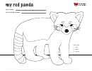 Red Panda Coloring Sheet Template