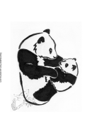 Baby Panda Coloring Sheet Template