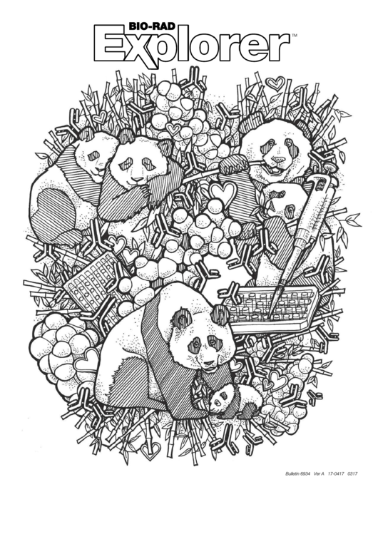 Giant Panda Coloring Page Template Printable pdf