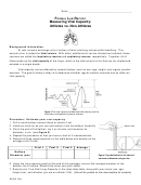 Formal Lab Report Measuring Vital Capacity Chart Printable pdf