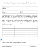 Veterinary Treatment Authorization & Consent Form Printable pdf