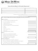 Annual Financial Report Of Charitable Organization Form - 2011