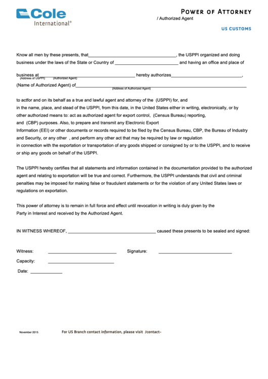 Fillable Power Of Attorney Form U.s. Principal Party In Interest / Authorized Agent Printable pdf