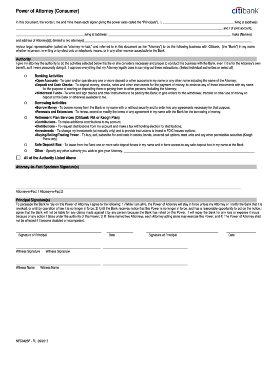 Power Of Attorney (Consumer) Form Printable pdf