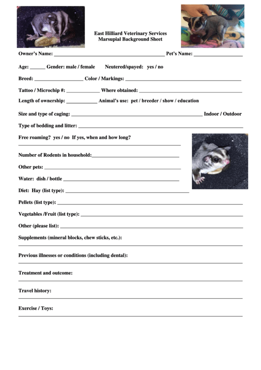 Marsupial Background Sheet - East Hilliard Veterinary Services