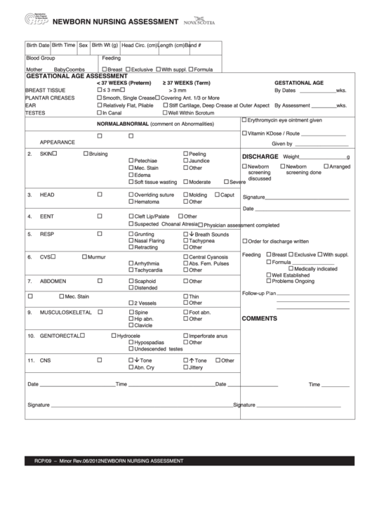 Newborn Nursing Assessment Form Printable pdf