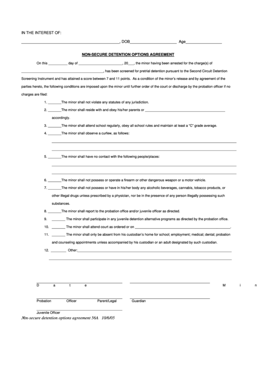 Fillable Non-Secure Detention Options Agreement Form Printable pdf