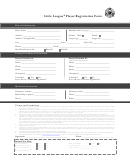 Little League Baseball Player Registration Form
