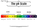 Ph Balance Scale