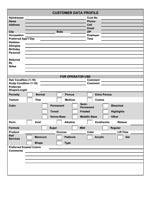 Customer Data Profile Template Printable pdf
