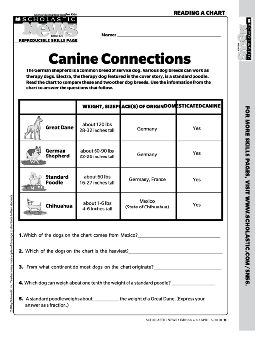 Canine Connections Worksheet Template Printable pdf