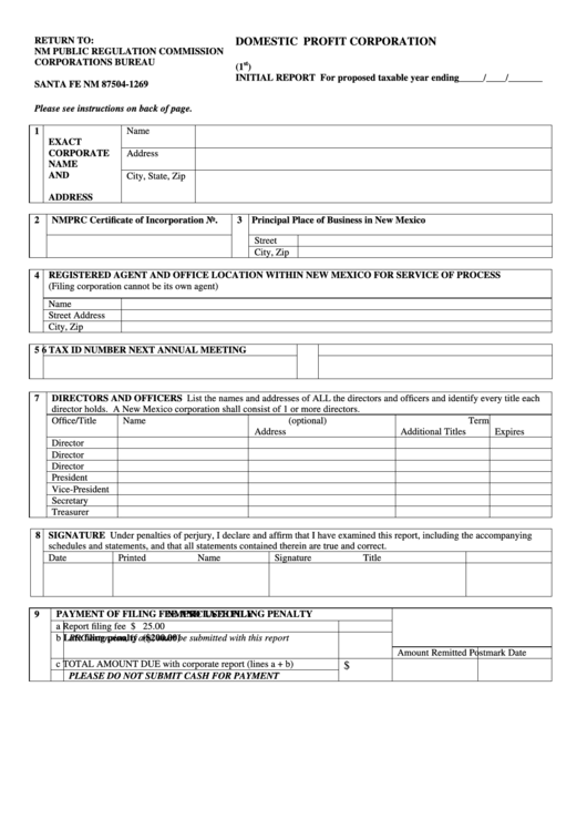 Initial Report Form - Domestic Profit Corporation - Nm Public Regulation Commission Printable pdf