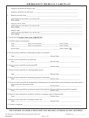 Emergency Medical Care Plan Template