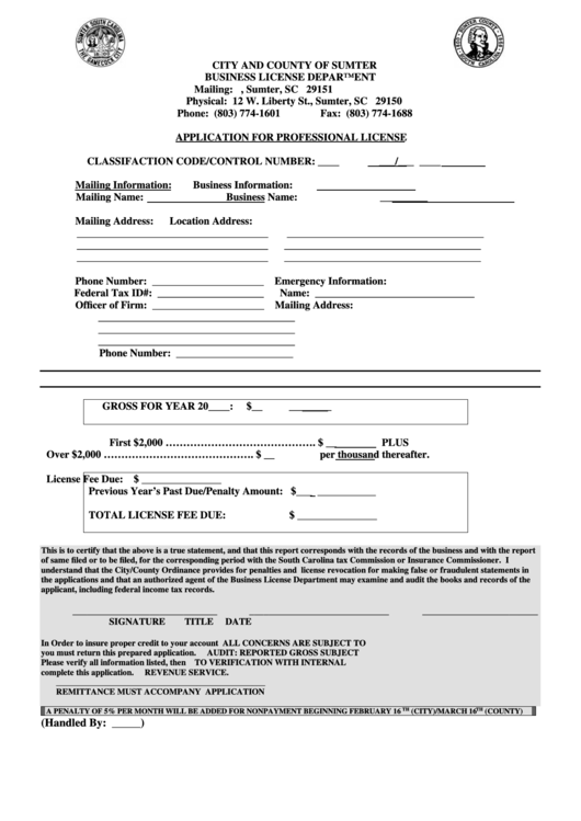 Application For Professional License Form - Business License Department, City And County Of Sumter Printable pdf