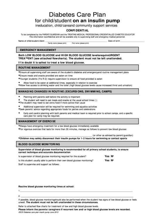 Diabetes Care Plan For Child/student On An Insulin Pump Template