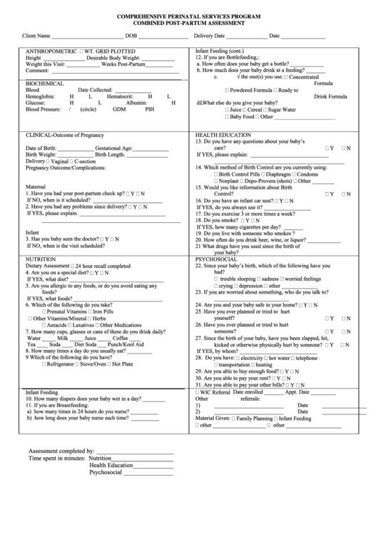 Combined Postpartum Assessment Template Printable pdf