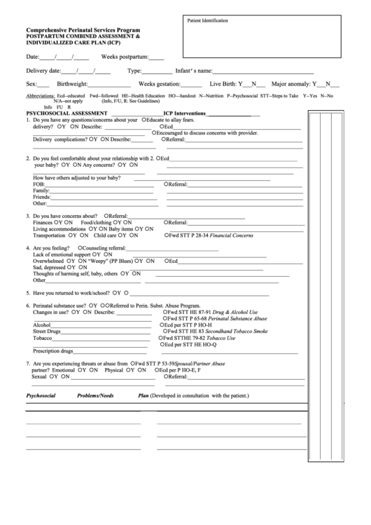 Postpartum Combined Assessment & Individualized Care Plan (Icp) Form Printable pdf