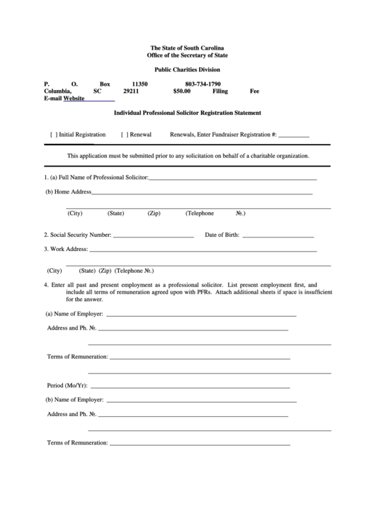Fillable Individual Professional Solicitor Registration Statement Form - State Of South Carolina Secretary Of State Printable pdf