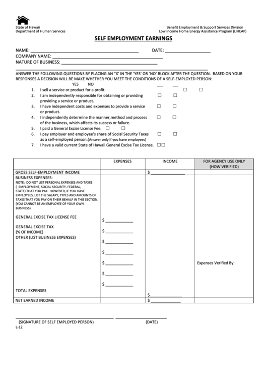 Self Employment Earnings Form - State Of Hawaii Department Of Human Services