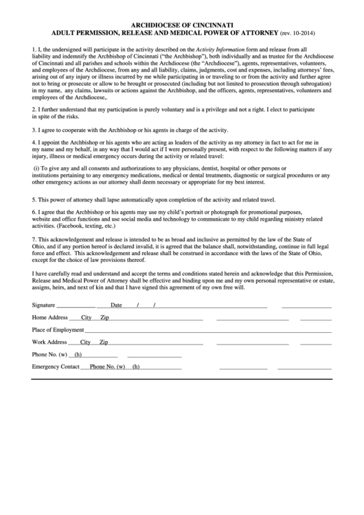 Adult Permission, Release And Medical Power Of Attorney Form Printable pdf