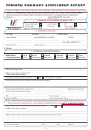 Common Summary Assessment Report Template