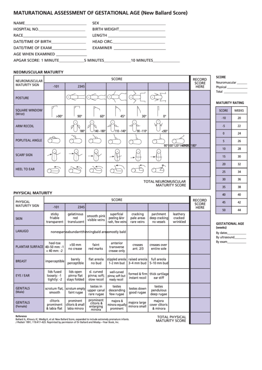 Maturational Assessment Of Gestational Age Form Printable pdf