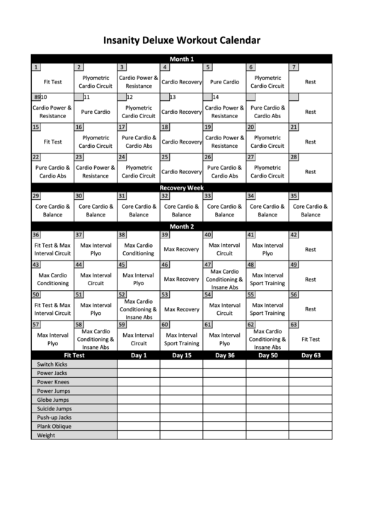 Insanity Workout Schedule Printable pdf