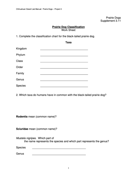 Prairie Dog Classification Worksheet Printable pdf