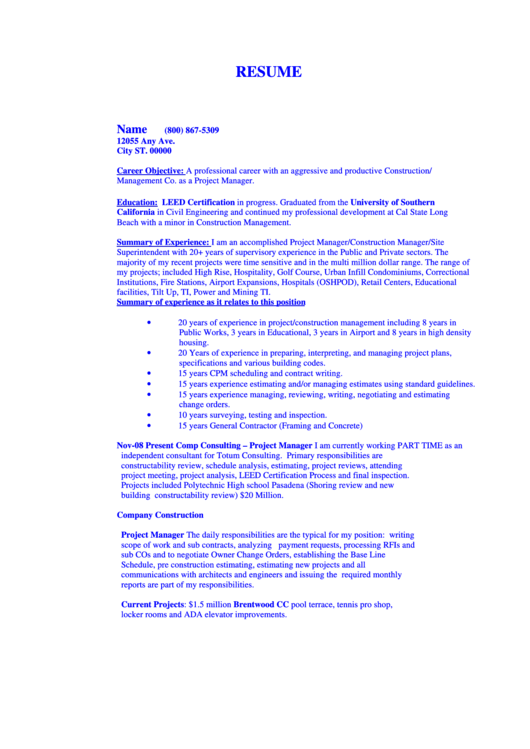 Resume Project Manager Printable pdf