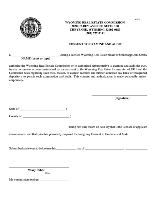 Consent To Examine And Audit Form 2000 Printable pdf