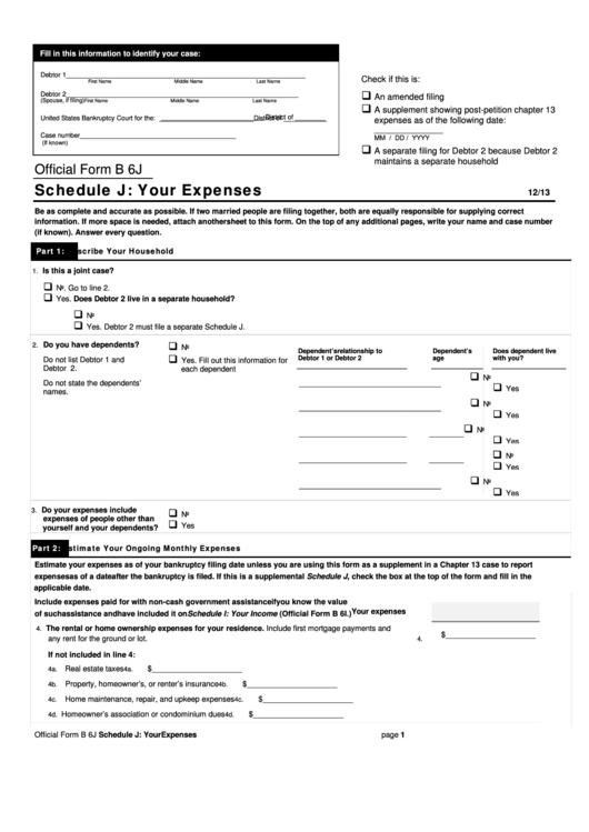 Fillable Official Form B 6j - Schedule J: Your Expenses Printable pdf