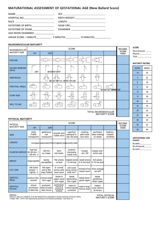 Ballard Chart