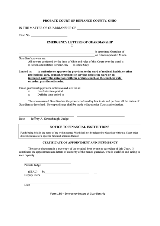 Fillable D.c.form 13g - Emergency Letters Of Guardianship Printable pdf