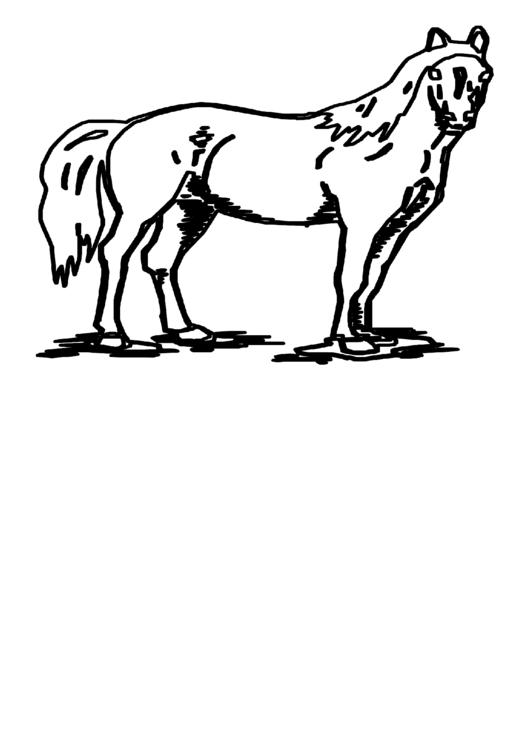 Horse Coloring Sheet Printable pdf