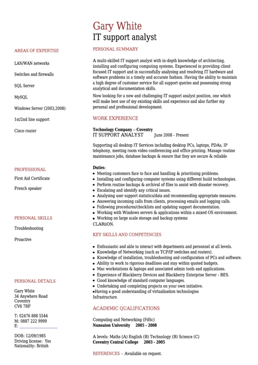 It Support Analyst Cv Template Printable pdf