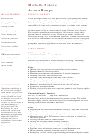 Project Manager Cv Template - Long Form