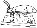 Bug Coloring Pages Sheet