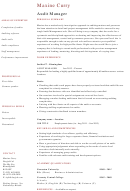 Audit Manager Resume Template