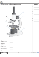 Labeling Scientific Tools (microscope) Worksheet With Answer Key