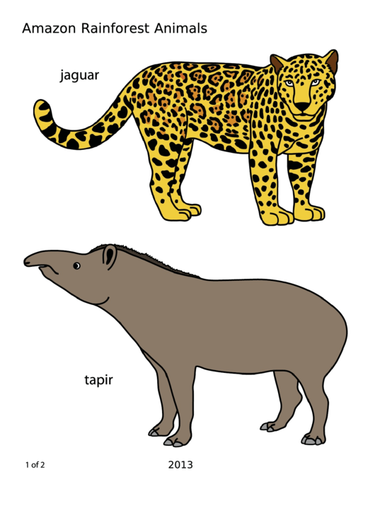 Amazon Rainforest Animals Coloring Sheet Color Printable pdf