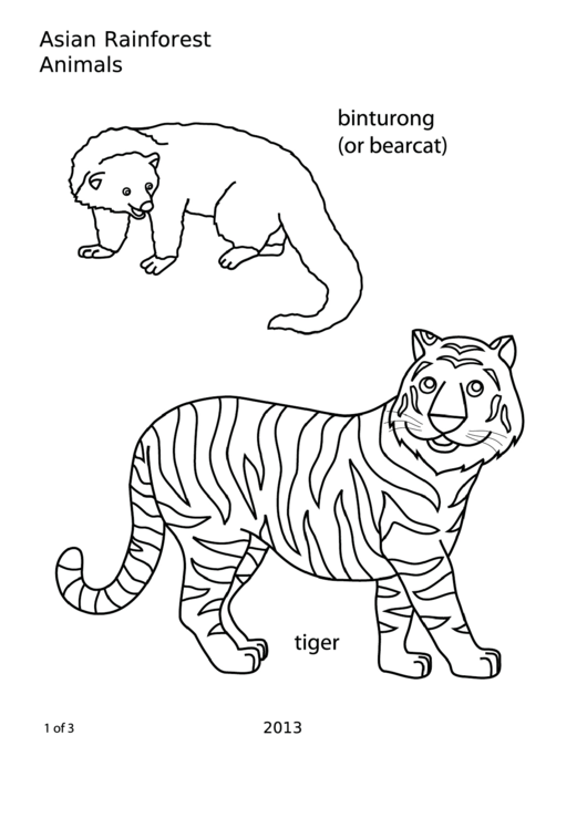 Coloring Sheet - Asian Rainforest Animals Printable pdf