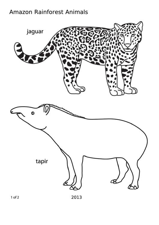 Amazon Rainforest Animals Coloring Sheet Blank Printable pdf