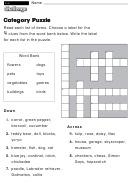 Category Puzzle - Challenge Puzzle Worksheet With Answer Key